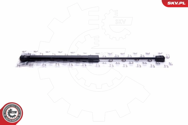 Gas Spring, boot/cargo area